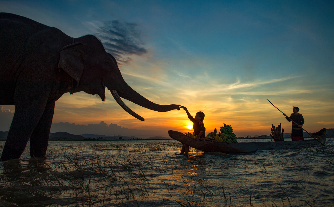 Hơi thở Tây Nguyên